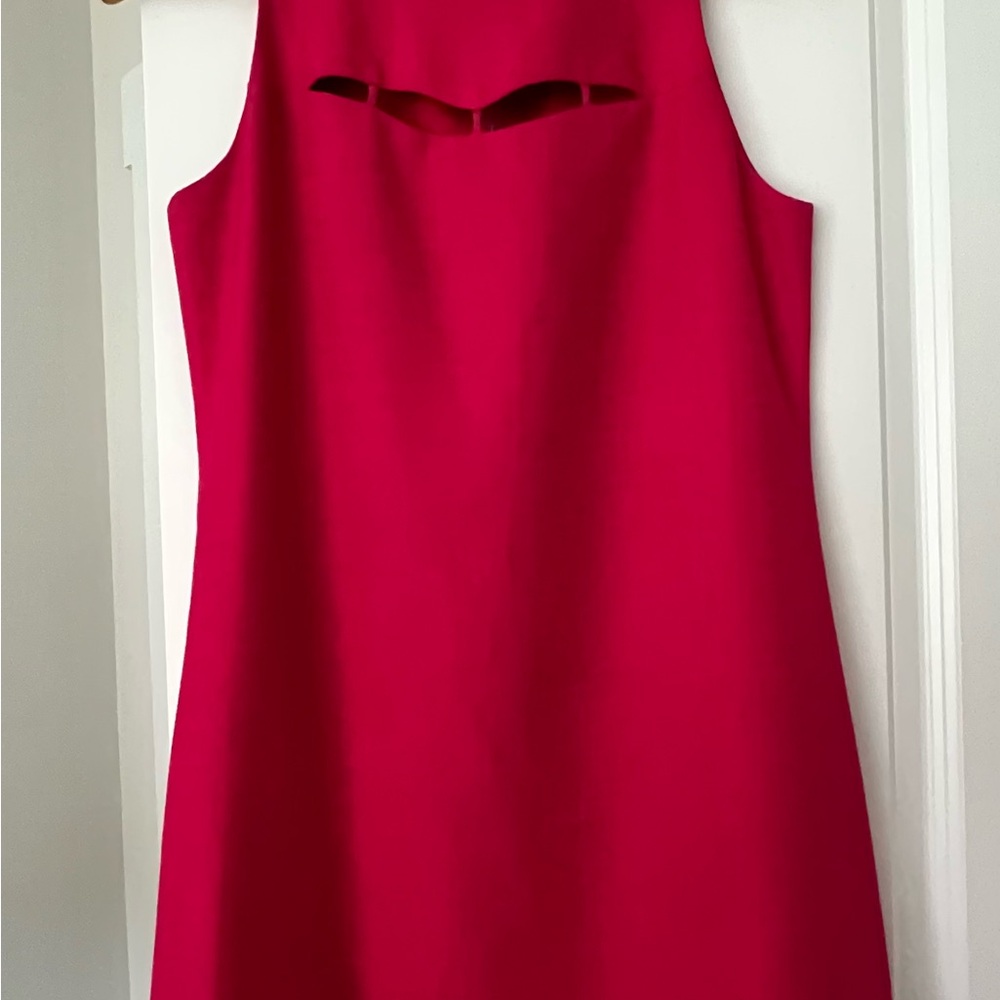 Elie Tahari Vibrant Pink Mini Dress